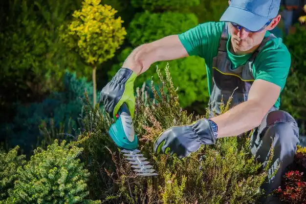 landscaping services North Wantagh